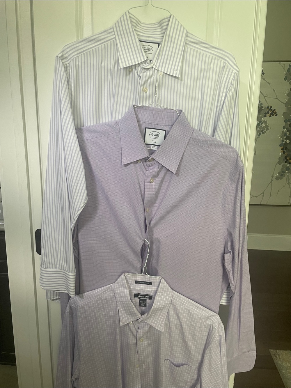 Charles Tyrwhitt Lavender and White Men's Dress Shirt Trio